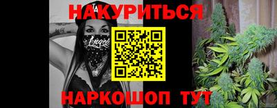 гашик Кимры