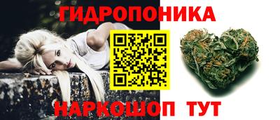 гашик Кимры